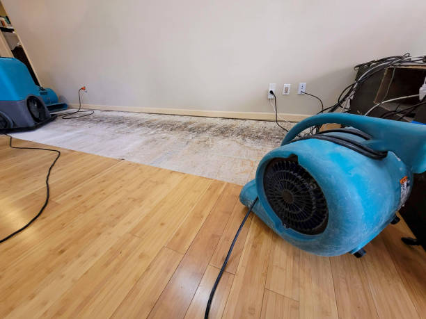 Reliable Burst Pipe Water Damage contractor in McKinney, TX by Hirex Water Damage