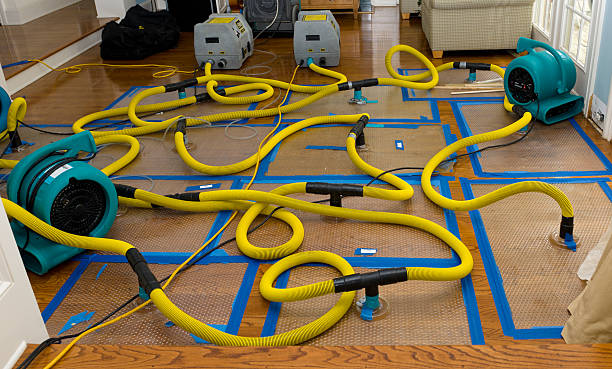 Professional Burst Pipe Water Damage technician working in McKinney, TX